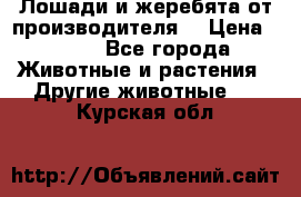 Лошади и жеребята от производителя. › Цена ­ 120 - Все города Животные и растения » Другие животные   . Курская обл.